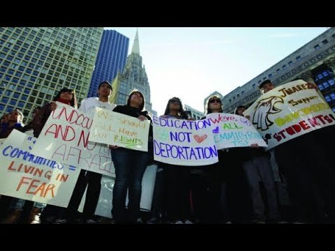 ¿Qué son los 'dreamers' y por qué están en peligro? | Noticias con Francisco Zea