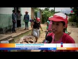 Chiapas pide ayuda a autoridades por el terremoto | Noticias con Francisco Zea