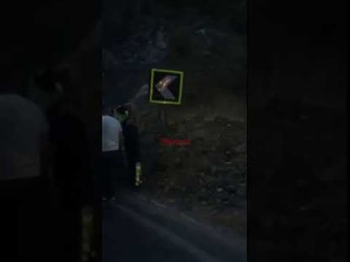 Perplasen koke me koke 2 makina