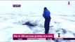 280 desaparecidos en los Alpes Suizos | Noticias con Yuriria Sierra
