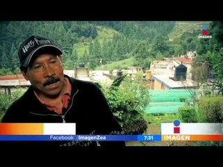 Utilizan materiales naturales para la construcción | Noticias con Francisco Zea