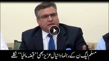 PML-N leader Daniyal found involved in land grabbing