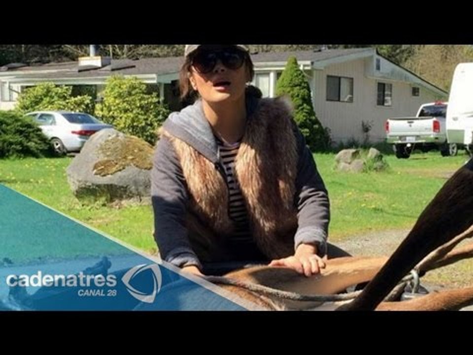 Salma Hayek rescata a venado tras haber sido herido