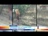 Cerveza se cae en carretera de Chiapas y los pobladores la robaron | Noticias con Francisco Zea