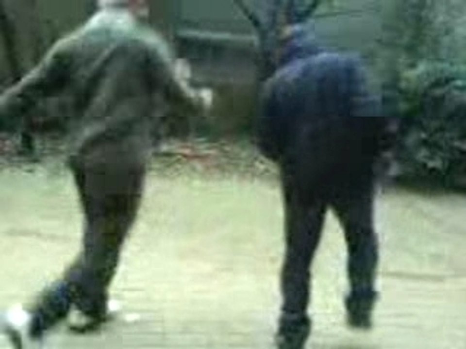 MOV00099