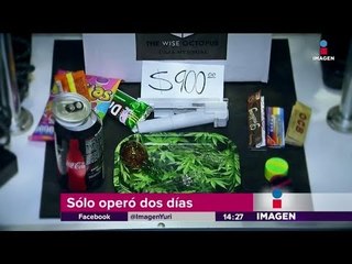 En 'Expo Cannabis' hablaron de los beneficios de la marihuana | Noticias con Yuriria Sierra