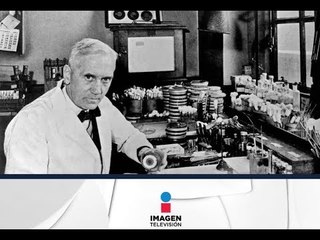 Alexander Fleming y el descubrimiento de la penicilina | Noticias con Francisco Zea