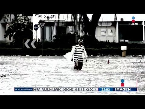 Tifón 'Hato' deja tres muertos en Hong Kong | Noticias con Ciro Gómez Leyva