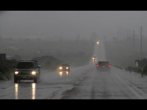 Emiten alerta naranja en México por 'Lidia' | Noticias con Francisco Zea