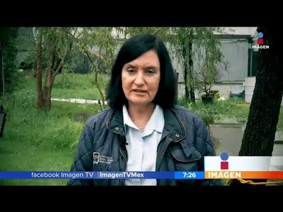 Rifada del día trabaja por limpiar los canales de Xochimilco | Noticias con Francisco Zea