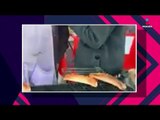 Video de hábil perrito que roba una empanada se hace viral | Noticias con Yuriria Sierra