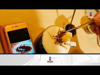 Café en 3D ¿te gustaría un cafecito así? | Noticias con Francisco Zea