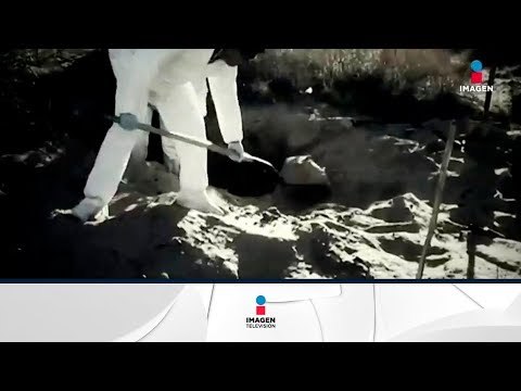 Esta es la narcofosa más grande de México | Noticias con Francisco Zea