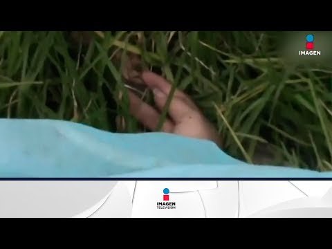 7 de 12 feminicidios en Latinoamérica, son en México | Noticias con Yuriria Sierra