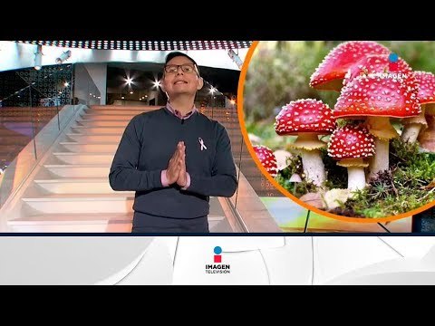 ¿Hay algún tipo de droga que mejore la salud? | Noticias con Francisco Zea