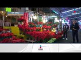 Dónde comprar las mejores flores de Nochebuena en la CDMX | Noticias con Francisco Zea