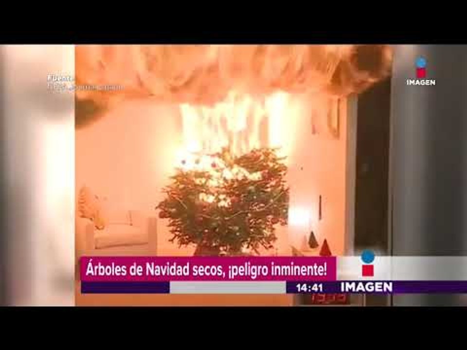 Árbol navideño seco se incendia increíblemente rápido | Noticias con Yuriria Sierra