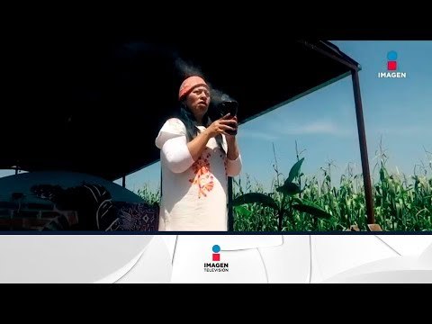 Mexicana se la rifa en Temazcales, una tradición mexicana milenaria | Noticias con Francisco Zea