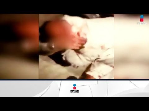 Supuestos ladrones desnudos y golpeados | Noticias con Francisco Zea