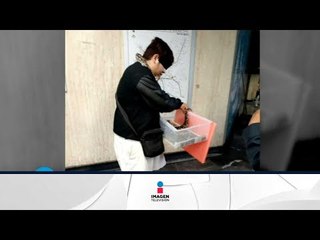 Una víbora viajó en el Metro de la CDMX | Qué Importa