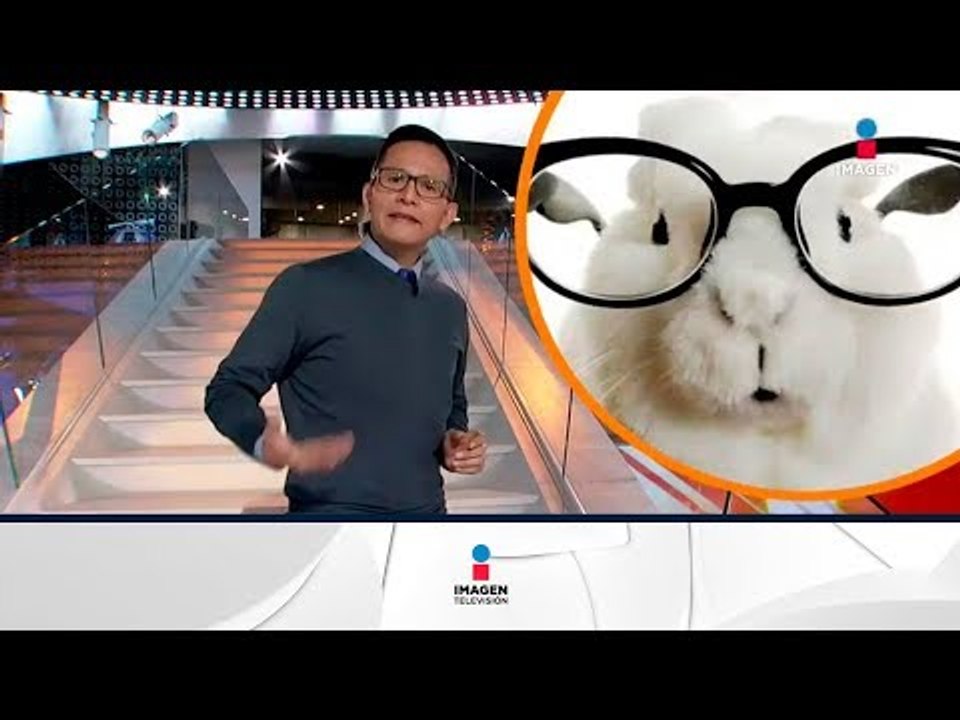 Estos son los remedios caseros más populares | Noticias con Francisco Zea