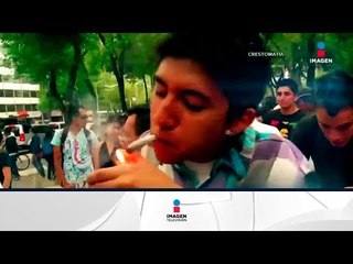 Marihuana ¿Legalizar o penalizar? | Noticias con Francisco Zea