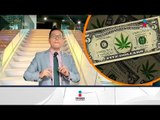 La marihuana y su proceso hacia la despenalización en México