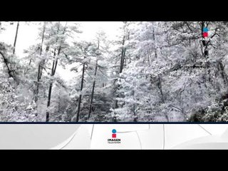 Bajas temperaturas históricas | Noticias con Ciro Gómez Leyva