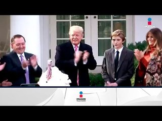 Trump perdona pavos y defiende a senador | Noticias con Francisco Zea