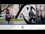 Esculturas gigantes en Aguascalientes ¿ya fuiste a verlas? | Noticias con Francisco Zea