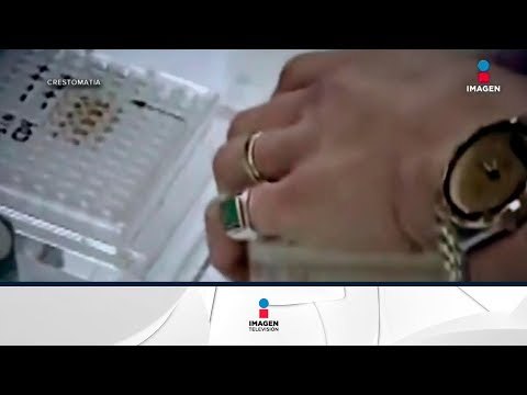 La ardua tarea de encontrar una cura para el VIH-SIDA | Noticias con Francisco Zea