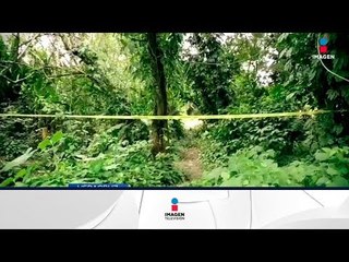 Encuentran cuatro fosas clandestinas en Veracruz | Noticias con Francisco Zea