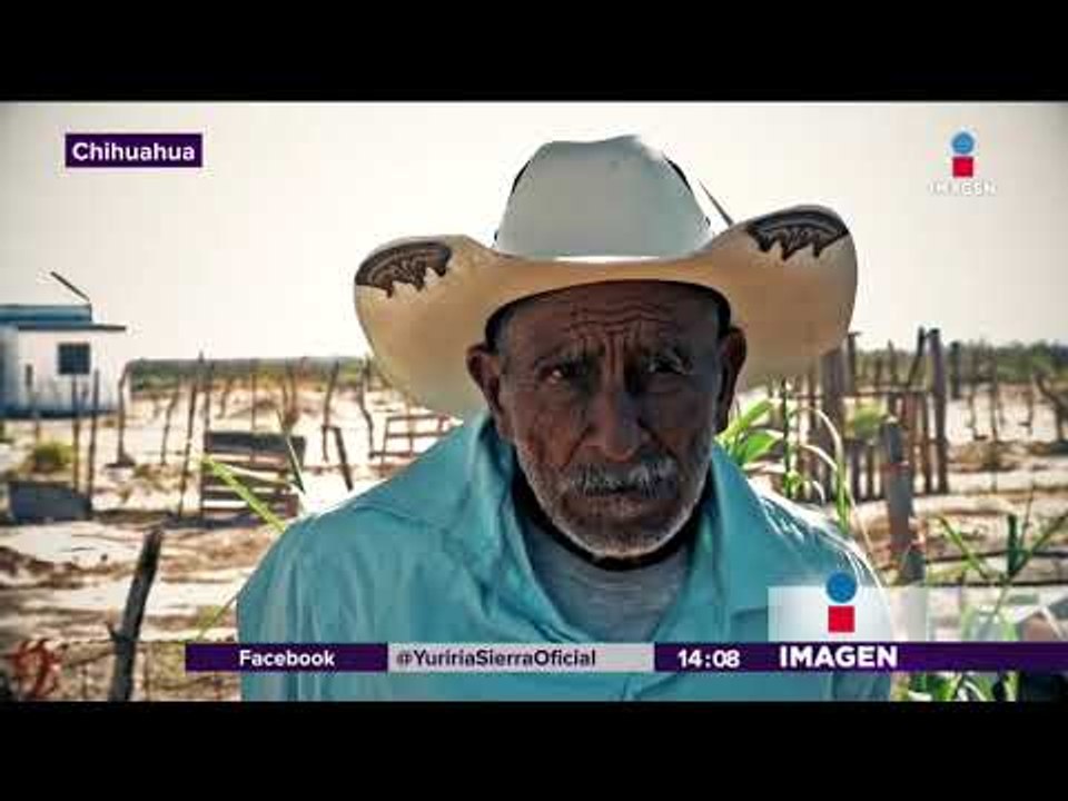 Familias mexicanas se van a quedar sin Navidad | Noticias con Yuriria Sierra