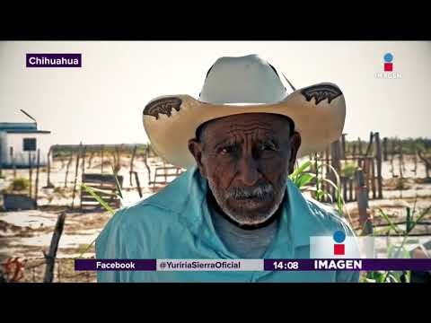 Familias mexicanas se van a quedar sin Navidad | Noticias con Yuriria Sierra