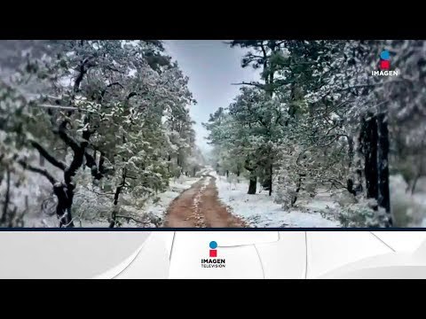 ¡Nieve en Mexico! Por fin empezó a nevar en este país | Noticias con Ciro Gómez Leyva