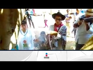 Una boda masiva con la naturaleza  | Qué Importa