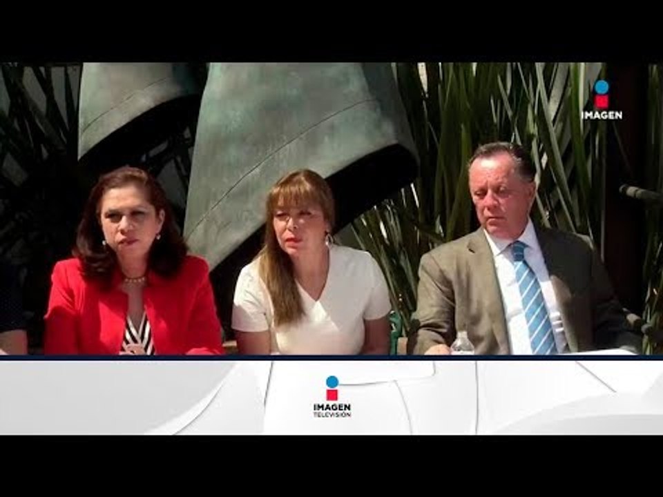 Viuda del pintor José Luis Cuevas se deslinda de irregularidades | Noticias con Francisco Zea