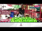 Tabasco reanuda exportación de plátano macho a Estados Unidos | Noticias con Francisco Zea
