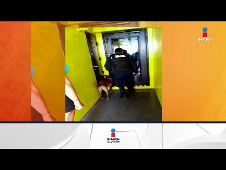 Refuerzan la seguridad en muelles de Quintana Roo  | Noticias con Francisco Zea