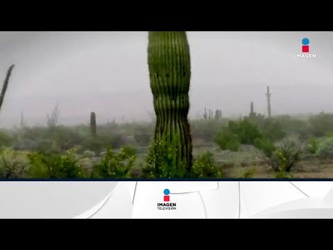 NASA entrenará astronautas en México | Noticias con Francisco Zea