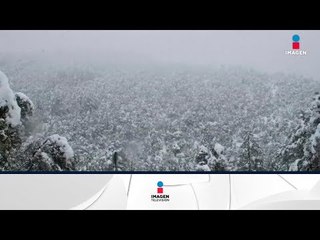 Espectacular caida de nieve en Chihuahua | Noticias con Yuriria Sierra