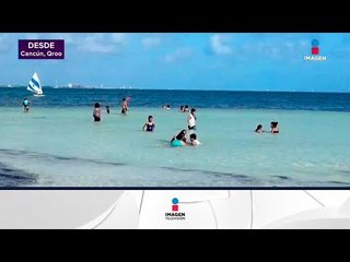 ¿Te lanzas a Cancún? | Noticias con Yuriria Sierra