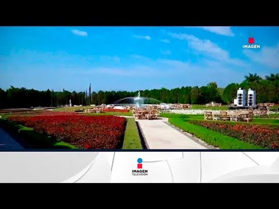 Jardínes de México | Noticias con Francisco Zea