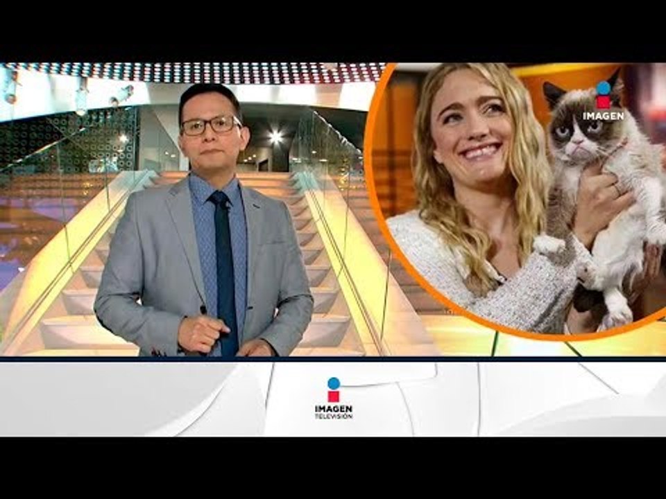 ¡Estos animalitos ganan más dinero que tú! | Noticias con Francisco Zea