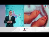 Violan a niña de 8 meses en India | Noticias con Yuriria Sierra