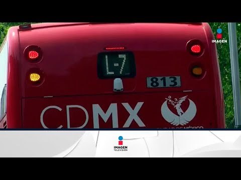 El daño ambiental que causó la construcción de la Línea 7 del Metrobús | Noticias con Francisco Zea