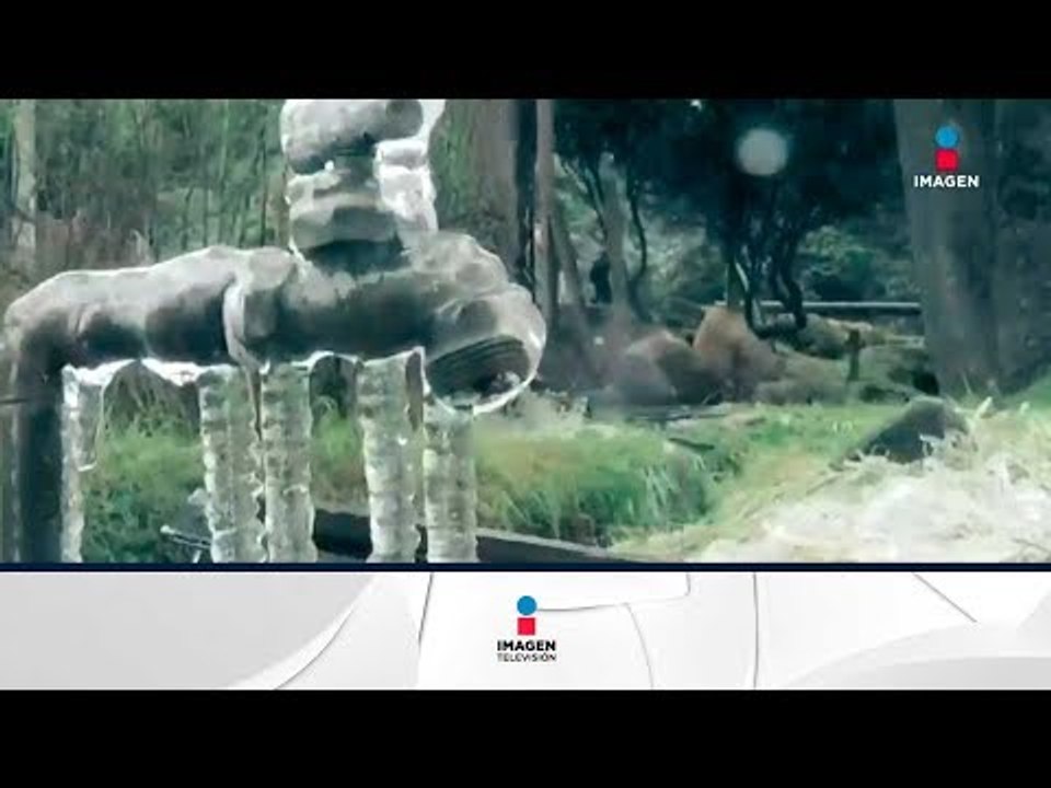 Así se sobreviven a las bajas temperaturas en Cuajimalpa | Noticias con Ciro Gómez Leyva