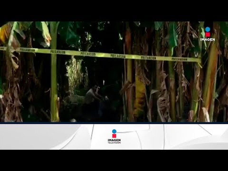 Suman 33 cuerpos localizados en fosas clandestinas en Nayarit | Noticias con Francisco Zea