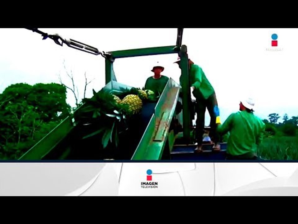 México y Bélgica trabajan para incrementar el intercambio comercial | Noticias con Francisco Zea