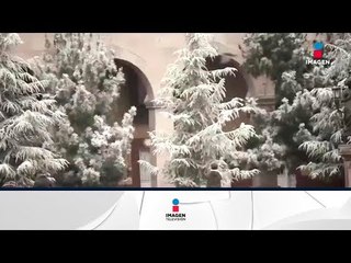 ¡Baja termómetro en Coahuila! | Noticias con Francisco Zea